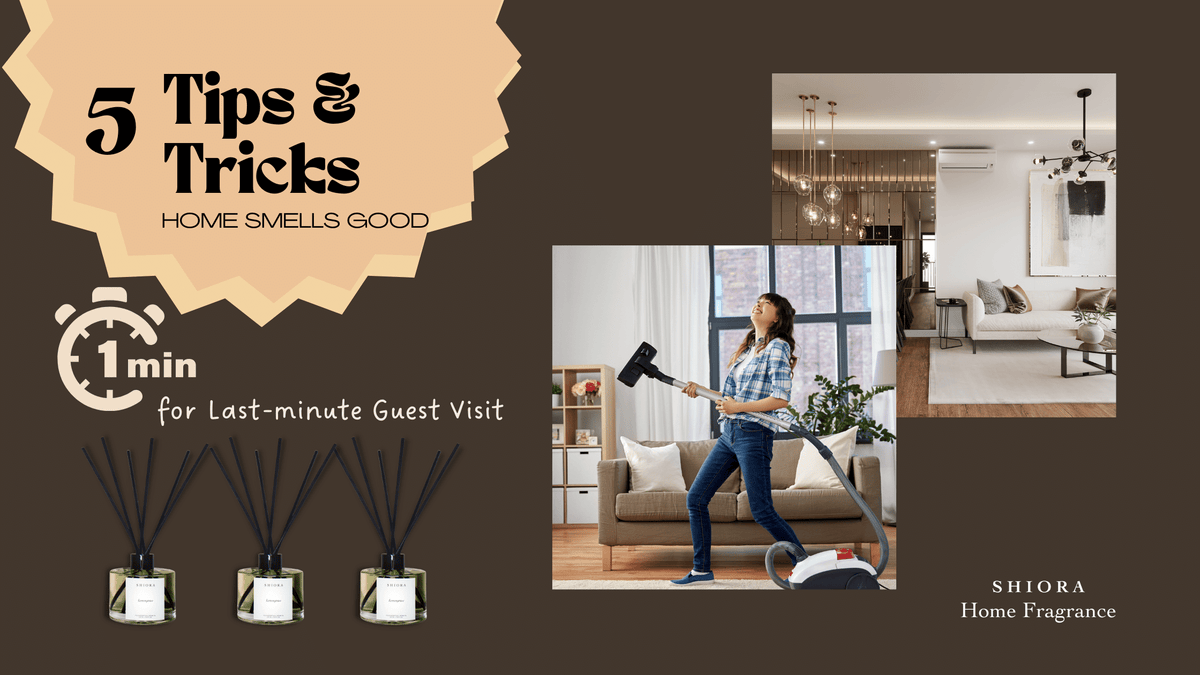 5 tips & tricks to quickly make your home smell fabulous for last minute guest visit - Shiora Blog Image