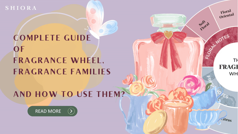 Complete Guide of Fragrance Wheel, Fragrance Families and How to use them