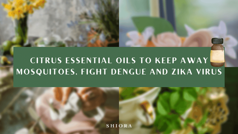 Citrus essential oils to keep away mosquitoes, fight dengue and zika virus
