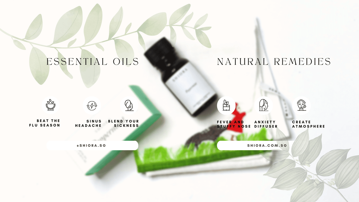 Natural Remedies How to Beat the Flu With Essential Oils