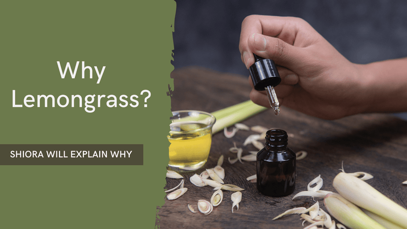 Top Reasons to Use Lemongrass Essential Oil for Your Health and Home