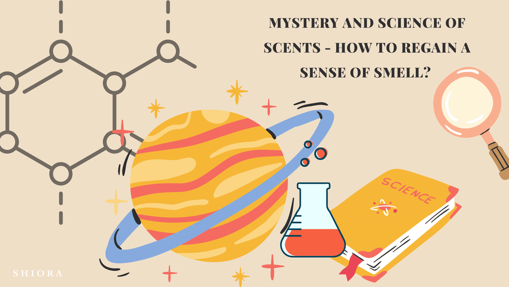 mystery and science of scents - how to regain a sense of smell