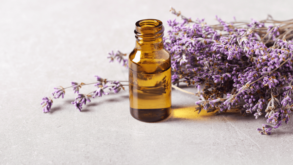 Lavender Essential Oil: Top Benefits for You