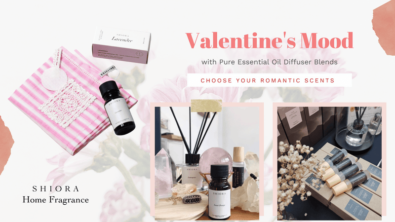 Create the Perfect Valentine's Day Atmosphere With These Top 10 Essential Oil Diffuser Blends