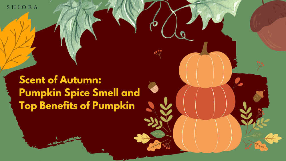 Scent of Autumn:  Pumpkin Spice Smell and  Top Benefits of Pumpkin