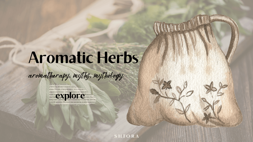Aromatic herbs, history of aromatherapy, herbs myths and mythology