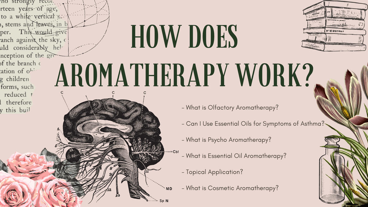 How does Aromatherapy work? Featured Blog post image