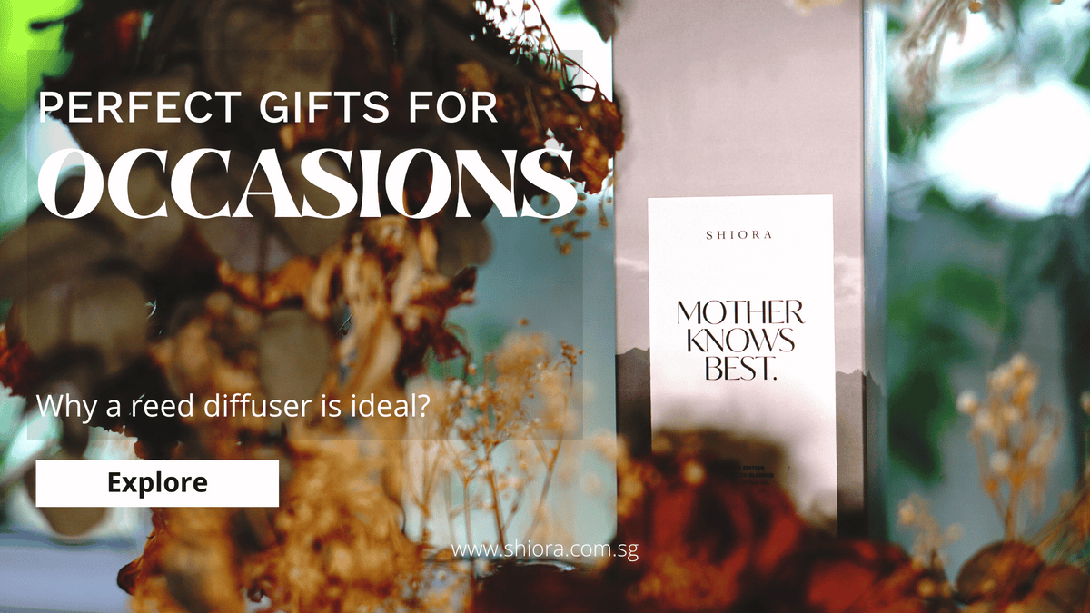THE PERFECT GIFT FOR ANY OCCASION: WHY A REED DIFFUSER IS IDEAL
