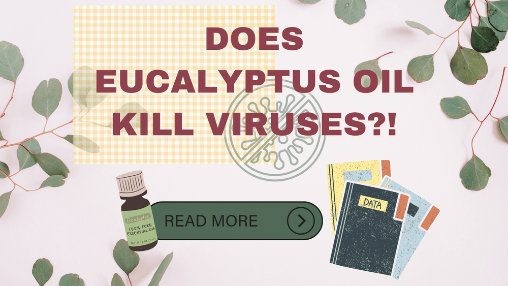 Essential Oil for Cough: Benefits of Eucalyptus Essential Oil