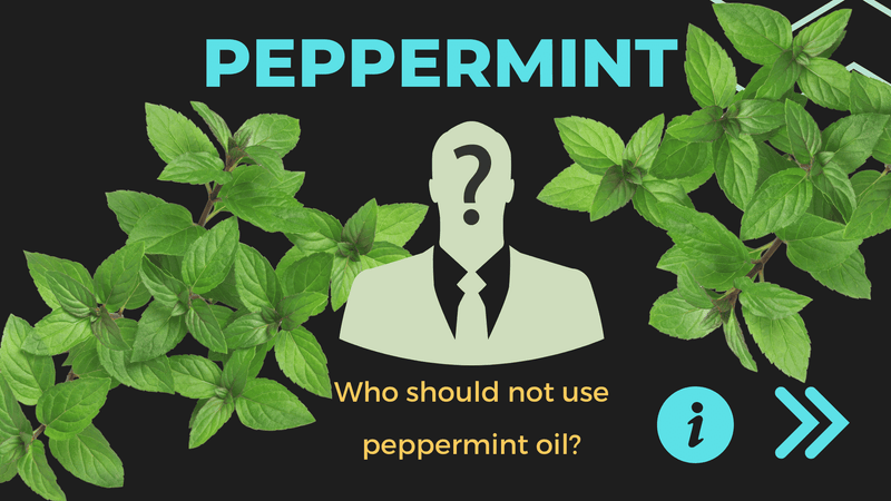Best Uses of Peppermint Essential Oil: Tips For You