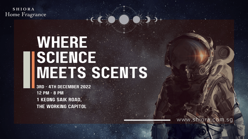 Best Christmas Market & Event in Singapore 2022