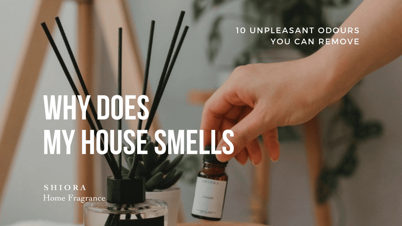 Why Your House Smells: 10 Unpleasant Odours You Can Remove