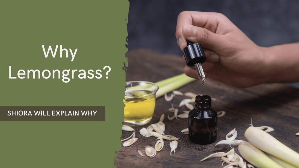 Why use Lemongrass Essential Oil Featured Image